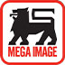 mega image log